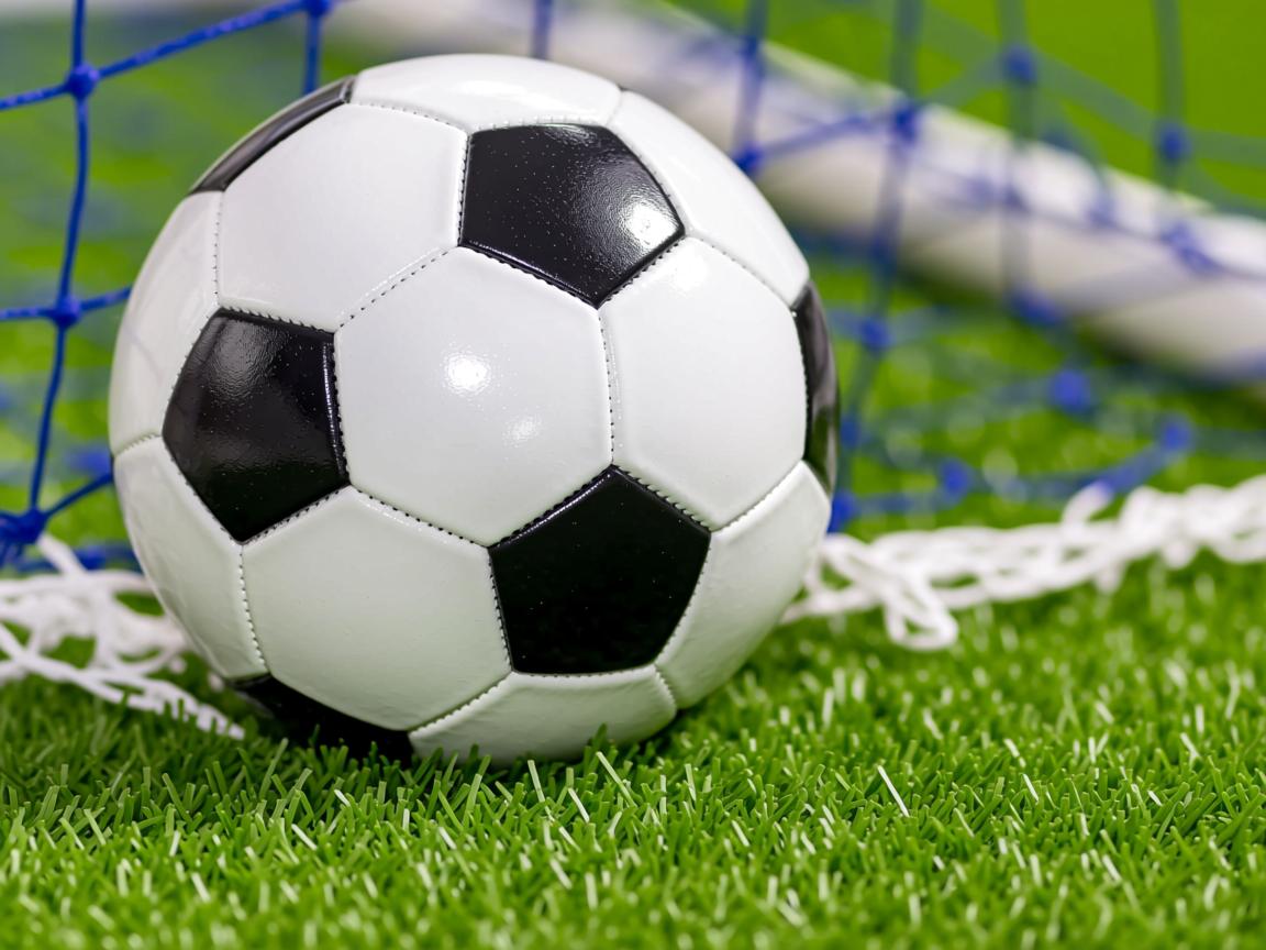 开云体育app注册-CBA赞助体系是否可实现可持续共赢,cba赞助商怎么赚钱 第3张