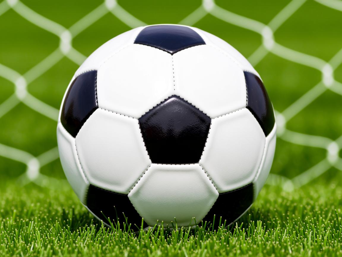 开云官方网-CBA青年联赛表现抢眼 多名新星崭露头角,cba青年队要上学吗 第3张