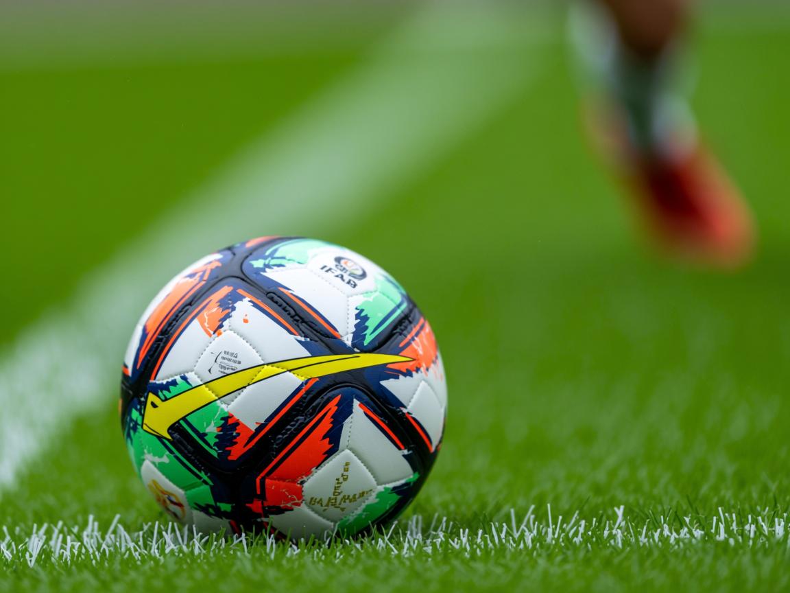 开云体育app注册-CBA青训体系为何缺乏统一规范,cba青训队怎么选人 第3张